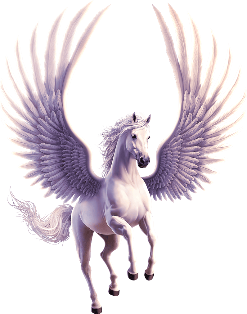 Enchanted Pegasus™ BOOM