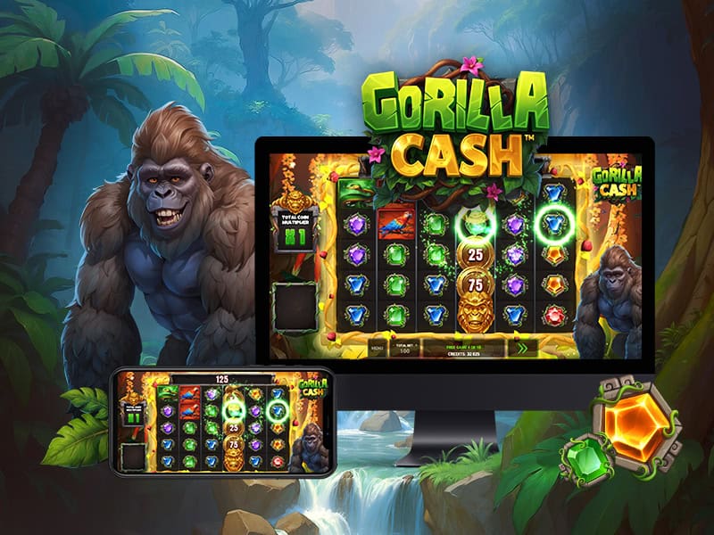 Gorilla Cash 800x600