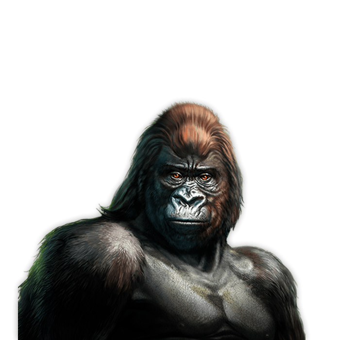 Gorilla™